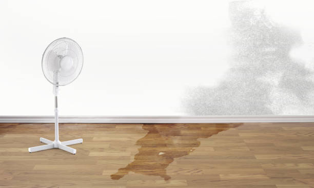 Best Water damage restoration near me  in Bay City, MI